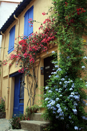 2007-07 Collioure 010.jpg